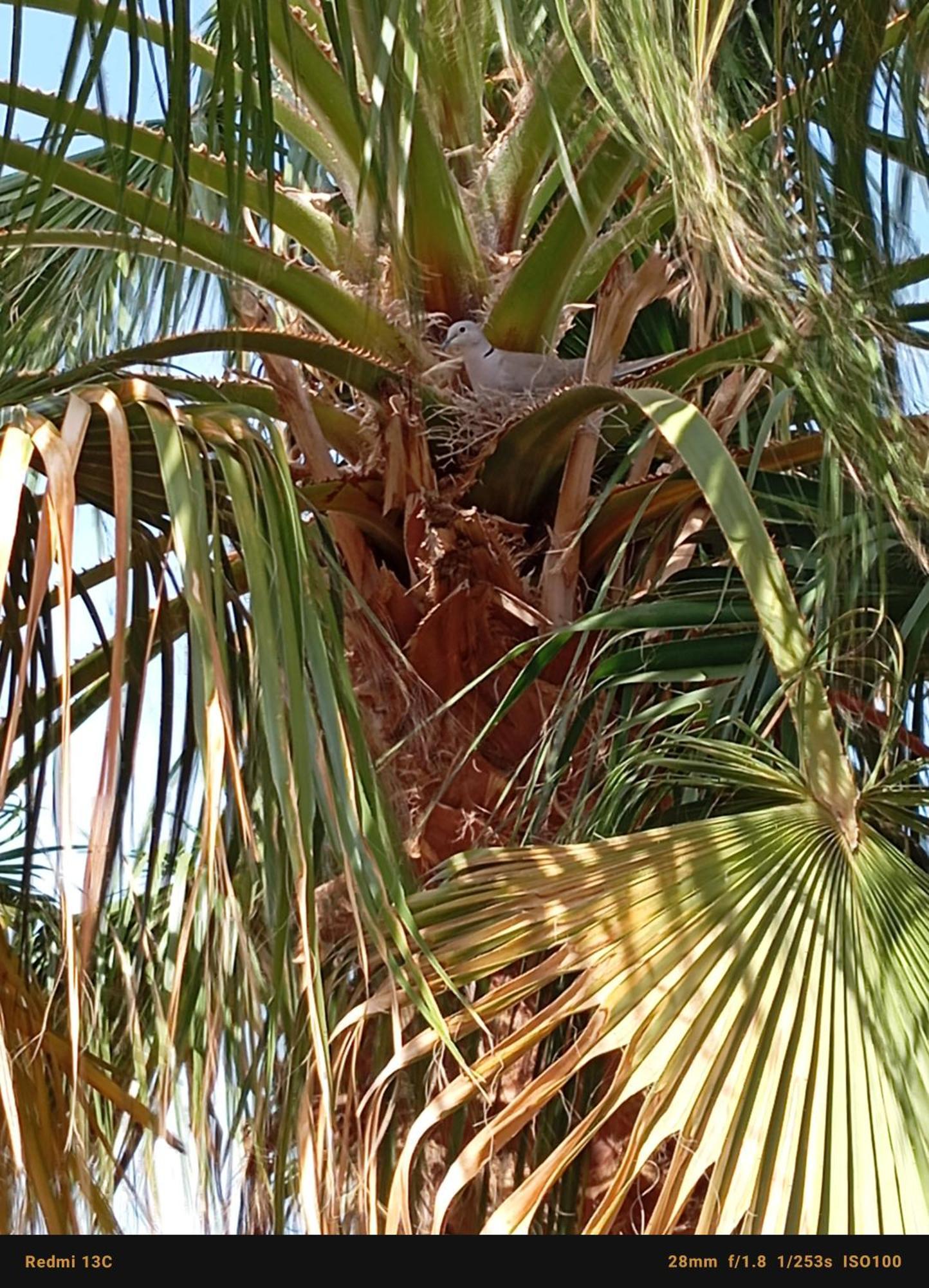 Riad Tania Mozaik Taroudant Extérieur photo