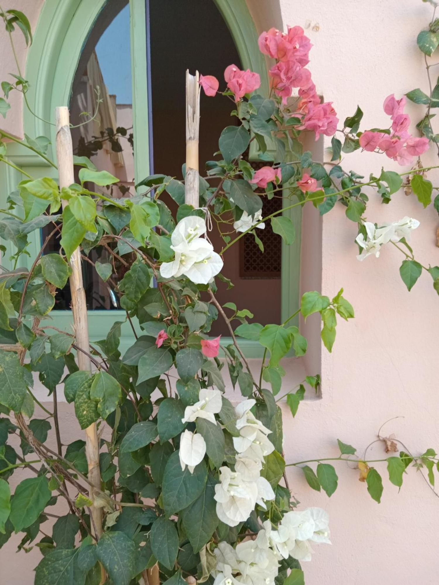 Riad Tania Mozaik Taroudant Extérieur photo