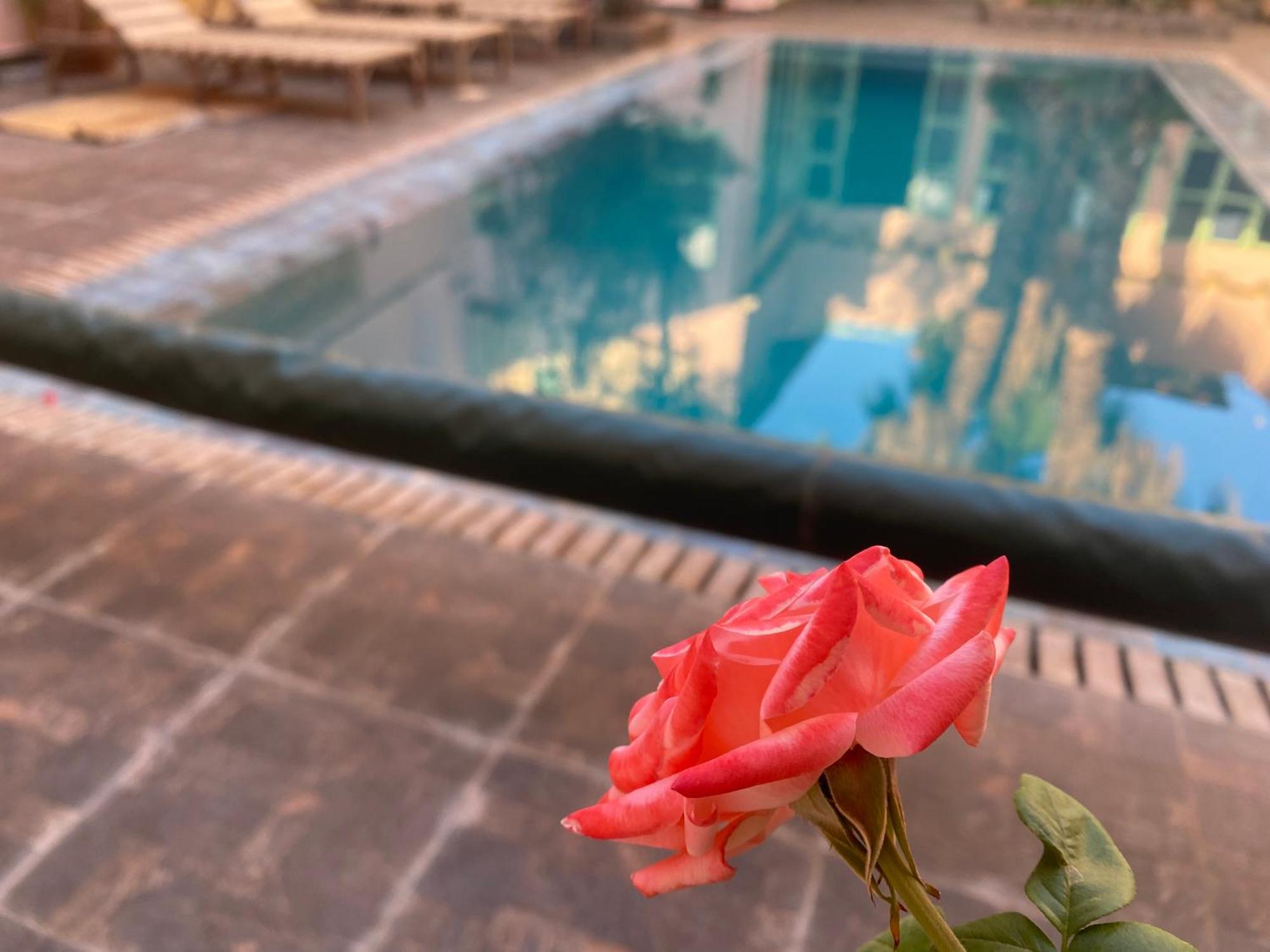 Riad Tania Mozaik Taroudant Extérieur photo