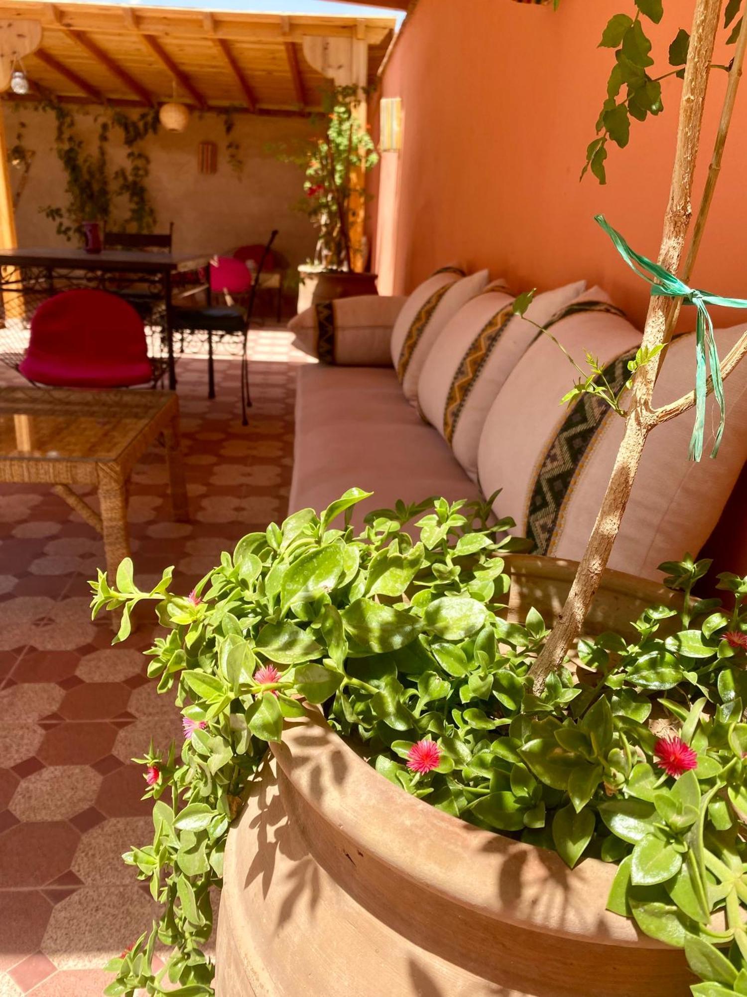 Riad Tania Mozaik Taroudant Extérieur photo